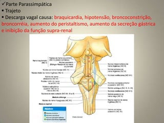 Exame das funções sensoriaisO teste da funções sensoriais do VII NC limita-se ao paladar.       A situação que mais comumente exige uma avaliação do paladar é a avaliação de paralisia do nervo facial. 