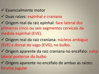 Reflexo nasolacrimal