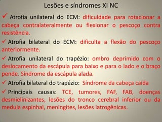 NC VIIINervo Vestibulococlear