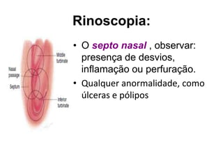 Rinoscopia:
• O septo nasal , observar:
presença de desvios,
inflamação ou perfuração.
• Qualquer anormalidade, como
úlceras e pólipos
 