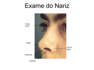 Exame do Nariz
 