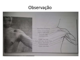 Observação
 
