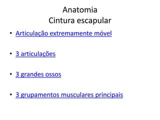 Anatomia
Cintura escapular
• Articulação extremamente móvel
• 3 articulações
• 3 grandes ossos
• 3 grupamentos musculares principais
 