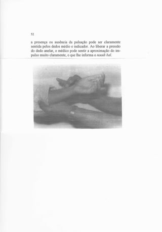 Exame do Pulso em Ayuvérdica