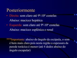 Posteriormente
• Direita: som claro até 9ª-10ª costelas
Abaixo: macicez hepática
• Esquerda: som claro até 9ª-10ª costelas
Abaixo: macicez esplênica e renal
***Importante: abaixo do ângulo da escápula, o som
é bem mais claro pois nesta região a espessura da
parede torácica é menor (até 4 dedos abaixo do
ângulo escapular)
 