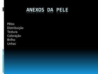 ANEXOS DA PELE
Pêlos
Distribuição
Textura
Coloração
Brilho
Unhas
 
