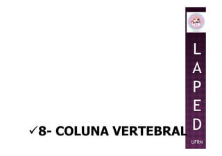L
A
P
8- COLUNA VERTEBRAL
P
E
D
UFRN
 