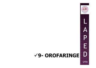 L
A
P
9- OROFARINGE
P
E
D
UFRN
 