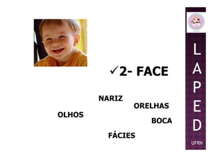 2- FACE
L
A
P
OLHOS
NARIZ
ORELHAS
BOCA
FÁCIES
P
E
D
UFRN
 