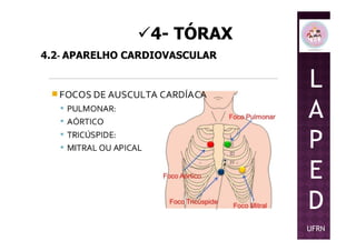 4- TÓRAX
4.2- APARELHO CARDIOVASCULAR
L
A
PP
E
D
UFRN
 