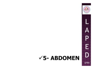 L
A
P
5- ABDOMEN
P
E
D
UFRN
 