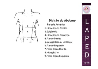 L
A
P
Divisão do Abdome
Parede Anterior
1.Hipocôndrio Direito
2.Epigástrio
3.Hipocôndrio Esquerdo
P
E
D
UFRN
3.Hipocôndrio Esquerdo
4.Flanco Direito
5.Mesogástrio ou umbilical
6.Flanco Esquerdo
7.Fossa Ilíaca Direita
8.Hipogástrio
9.Fossa Ilíaca Esquerda
 