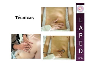 L
A
P
Técnicas
P
E
D
UFRN
 