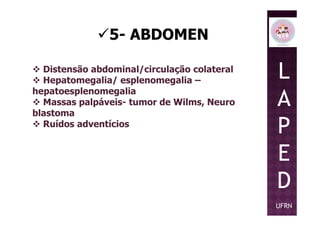 5- ABDOMEN
Distensão abdominal/circulação colateral
Hepatomegalia/ esplenomegalia –
hepatoesplenomegalia
Massas palpáveis- tumor de Wilms, Neuro
blastoma
L
A
P
blastoma
Ruídos adventícios
P
E
D
UFRN
 