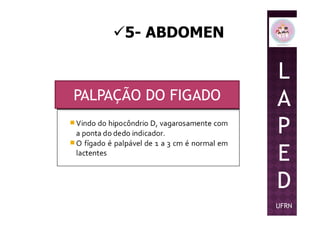 5- ABDOMEN
L
A
P
PALPAÇÃO DO FIGADO
P
E
D
UFRN
 