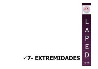 L
A
P
7- EXTREMIDADES
P
E
D
UFRN
 