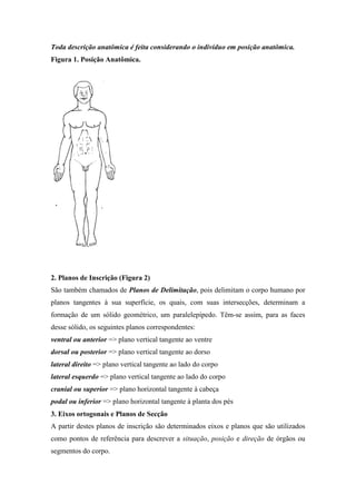 Toda descrição anatômica é feita considerando o indivíduo em posição anatômica.
Figura 1. Posição Anatômica.




2. Planos de Inscrição (Figura 2)
São também chamados de Planos de Delimitação, pois delimitam o corpo humano por
planos tangentes à sua superfície, os quais, com suas intersecções, determinam a
formação de um sólido geométrico, um paralelepípedo. Têm-se assim, para as faces
desse sólido, os seguintes planos correspondentes:
ventral ou anterior => plano vertical tangente ao ventre
dorsal ou posterior => plano vertical tangente ao dorso
lateral direito => plano vertical tangente ao lado do corpo
lateral esquerdo => plano vertical tangente ao lado do corpo
cranial ou superior => plano horizontal tangente à cabeça
podal ou inferior => plano horizontal tangente à planta dos pés
3. Eixos ortogonais e Planos de Secção
A partir destes planos de inscrição são determinados eixos e planos que são utilizados
como pontos de referência para descrever a situação, posição e direção de órgãos ou
segmentos do corpo.
 