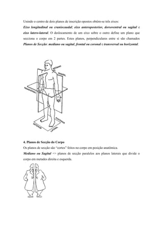 Unindo o centro de dois planos de inscrição opostos obtém-se três eixos:
Eixo longitudinal ou craniocaudal; eixo anteroposterior, dorsoventral ou sagital e
eixo latero-lateral. O deslocamento de um eixo sobre o outro define um plano que
secciona o corpo em 2 partes. Estes planos, perpendiculares entre si são chamados
Planos de Secção: mediano ou sagital, frontal ou coronal e transversal ou horizontal.




4. Planos de Secção do Corpo
Os planos de secção são “cortes” feitos no corpo em posição anatômica.
Mediano ou Sagital => planos de secção paralelos aos planos laterais que divide o
corpo em metades direita e esquerda.
 