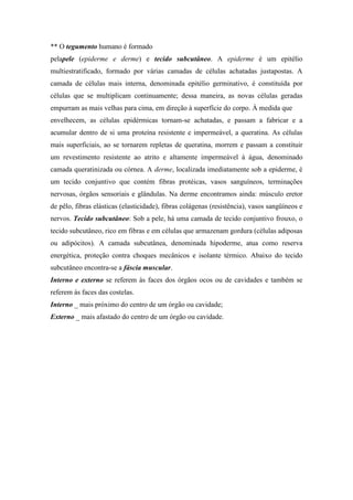 ** O tegumento humano é formado
pelapele (epiderme e derme) e tecido subcutâneo. A epiderme é um epitélio
multiestratificado, formado por várias camadas de células achatadas justapostas. A
camada de células mais interna, denominada epitélio germinativo, é constituída por
células que se multiplicam continuamente; dessa maneira, as novas células geradas
empurram as mais velhas para cima, em direção à superfície do corpo. À medida que
envelhecem, as células epidérmicas tornam-se achatadas, e passam a fabricar e a
acumular dentro de si uma proteína resistente e impermeável, a queratina. As células
mais superficiais, ao se tornarem repletas de queratina, morrem e passam a constituir
um revestimento resistente ao atrito e altamente impermeável à água, denominado
camada queratinizada ou córnea. A derme, localizada imediatamente sob a epiderme, é
um tecido conjuntivo que contém fibras protéicas, vasos sanguíneos, terminações
nervosas, órgãos sensoriais e glândulas. Na derme encontramos ainda: músculo eretor
de pêlo, fibras elásticas (elasticidade), fibras colágenas (resistência), vasos sangüíneos e
nervos. Tecido subcutâneo: Sob a pele, há uma camada de tecido conjuntivo frouxo, o
tecido subcutâneo, rico em fibras e em células que armazenam gordura (células adiposas
ou adipócitos). A camada subcutânea, denominada hipoderme, atua como reserva
energética, proteção contra choques mecânicos e isolante térmico. Abaixo do tecido
subcutâneo encontra-se a fáscia muscular.
Interno e externo se referem às faces dos órgãos ocos ou de cavidades e também se
referem às faces das costelas.
Interno _ mais próximo do centro de um órgão ou cavidade;
Externo _ mais afastado do centro de um órgão ou cavidade.
 
