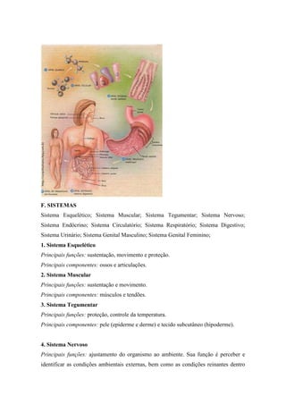 F. SISTEMAS
Sistema Esquelético; Sistema Muscular; Sistema Tegumentar; Sistema Nervoso;
Sistema Endócrino; Sistema Circulatório; Sistema Respiratório; Sistema Digestivo;
Sistema Urinário; Sistema Genital Masculino; Sistema Genital Feminino;
1. Sistema Esquelético
Principais funções: sustentação, movimento e proteção.
Principais componentes: ossos e articulações.
2. Sistema Muscular
Principais funções: sustentação e movimento.
Principais componentes: músculos e tendões.
3. Sistema Tegumentar
Principais funções: proteção, controle da temperatura.
Principais componentes: pele (epiderme e derme) e tecido subcutâneo (hipoderme).


4. Sistema Nervoso
Principais funções: ajustamento do organismo ao ambiente. Sua função é perceber e
identificar as condições ambientais externas, bem como as condições reinantes dentro
 