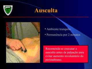 Ausculta Ambiente tranquilo Permanência por 2 minutos Recomenda-se executar a ausculta antes da palpação para evitar aumento involuntário do peristaltismo. 