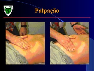 Palpação 
