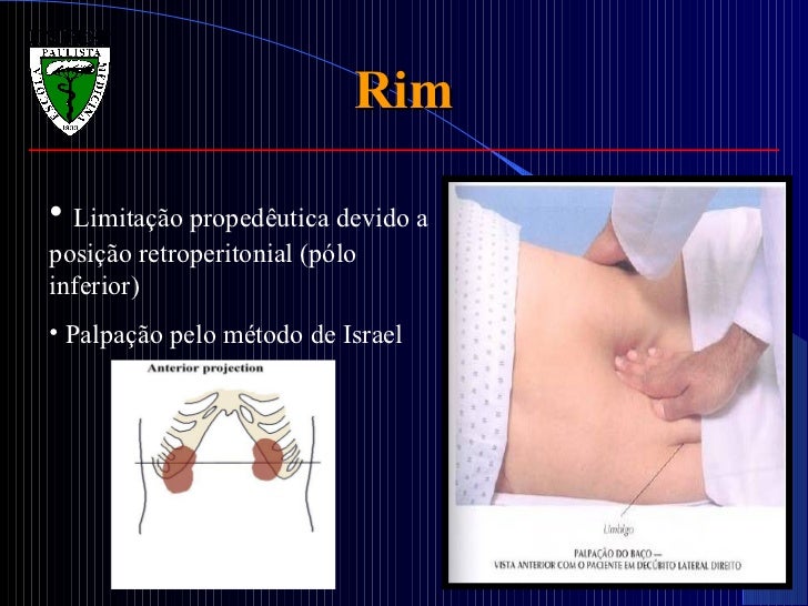 Exame de rim