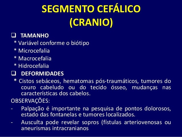 Exame da cabeca