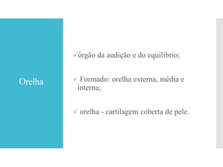 Orelha
órgão da audição e do equilíbrio;
 Formado: orelha externa, média e
interna;
 orelha - cartilagem coberta de pele.
 