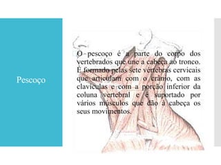 Pescoço
O pescoço é a parte do corpo dos
vertebrados que une a cabeça ao tronco.
É formado pelas sete vértebras cervicais
que articulam com o crânio, com as
clavículas e com a porção inferior da
coluna vertebral e é suportado por
vários músculos que dão à cabeça os
seus movimentos.
 