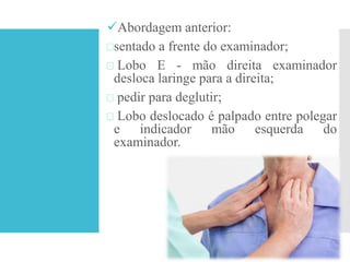 Abordagem anterior:
sentado a frente do examinador;
 Lobo E - mão direita examinador
desloca laringe para a direita;
 pedir para deglutir;
 Lobo deslocado é palpado entre polegar
e indicador mão esquerda do
examinador.
 