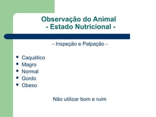 Observação do Animal
- Estado Nutricional -
- Inspeção e Palpação -
 Caquético
 Magro
 Normal
 Gordo
 Obeso
Não utilizar bom e ruim
 