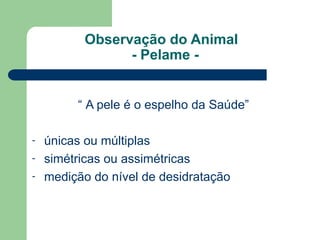 Observação do Animal
- Pelame -
“ A pele é o espelho da Saúde”
- únicas ou múltiplas
- simétricas ou assimétricas
- medição do nível de desidratação
 