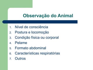 Observação do Animal
1. Nível de consciência
2. Postura e locomoção
3. Condição física ou corporal
4. Pelame
5. Formato abdominal
6. Características respiratórias
7. Outros
 