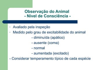 Observação do Animal
- Nível de Consciência -
- Avaliado pela inspeção
- Medido pelo grau de excitabilidade do animal
- diminuída (apático)
- ausente (coma)
- normal
- aumentada (excitado)
- Considerar temperamento típico de cada espécie
 