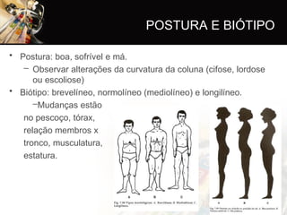 • Postura: boa, sofrível e má.
– Observar alterações da curvatura da coluna (cifose, lordose
ou escoliose)
• Biótipo: brevelíneo, normolíneo (mediolíneo) e longilíneo.
–Mudanças estão
no pescoço, tórax,
relação membros x
tronco, musculatura,
estatura.
POSTURA E BIÓTIPO
 