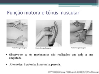 Função motora e tônus muscular
• Observa-se se os movimentos são realizados em toda a sua
amplitude.
• Alterações: hipotonia, hipertonia, paresia.
Fonte: Google Imagens Fonte: Google ImagensFonte: Google Imagens
(POTTER;PERRY,2013; PORTO, 2008; MORTON;FONTAINE, 2014)
 
