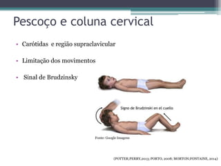 • Carótidas e região supraclavicular
• Limitação dos movimentos
• Sinal de Brudzinsky
Pescoço e coluna cervical
Fonte: Google Imagens
(POTTER;PERRY,2013; PORTO, 2008; MORTON;FONTAINE, 2014)
 