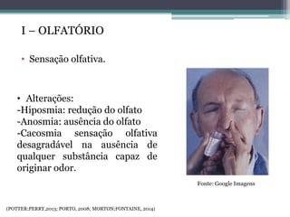 I – OLFATÓRIO
• Sensação olfativa.
• Alterações:
-Hiposmia: redução do olfato
-Anosmia: ausência do olfato
-Cacosmia sensação olfativa
desagradável na ausência de
qualquer substância capaz de
originar odor.
Fonte: Google Imagens
(POTTER;PERRY,2013; PORTO, 2008; MORTON;FONTAINE, 2014)
 