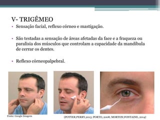 V- TRIGÊMEO
• Sensação facial, reflexo córneo e mastigação.
• São testadas a sensação de áreas afetadas da face e a fraqueza ou
paralisia dos músculos que controlam a capacidade da mandíbula
de cerrar os dentes.
• Reflexo córneopalpebral.
(POTTER;PERRY,2013; PORTO, 2008; MORTON;FONTAINE, 2014)Fonte: Google Imagens
 