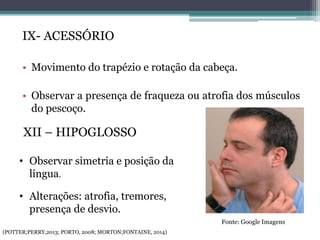 IX- ACESSÓRIO
• Movimento do trapézio e rotação da cabeça.
• Observar a presença de fraqueza ou atrofia dos músculos
do pescoço.
Fonte: Google Imagens
XII – HIPOGLOSSO
• Observar simetria e posição da
língua.
• Alterações: atrofia, tremores,
presença de desvio.
(POTTER;PERRY,2013; PORTO, 2008; MORTON;FONTAINE, 2014)
 