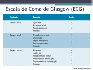 Escala de Coma de Glasgow (ECG)
Fonte: Google Imagens
 