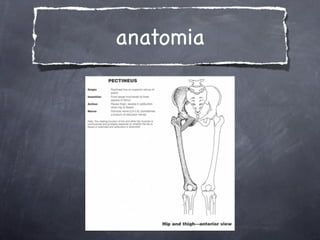 anatomia
 