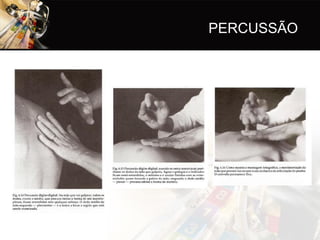 PERCUSSÃO
 