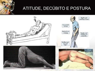 ATITUDE, DECÚBITO E POSTURA
 