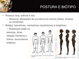 POSTURA E BIÓTIPO

• Postura: boa, sofrível e má.
   – Observar alterações da curvatura da coluna (cifose, lordose
      ou escoliose)
• Biótipo: brevelíneo, normolíneo (mediolíneo) e longilíneo.
   – Mudanças estão no
   pescoço, tórax,
   relação membros x
   tronco, musculatura,
   estatura.
 