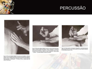 PERCUSSÃO
 