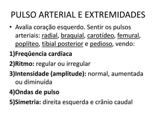PULSO ARTERIAL E EXTREMIDADES
• Avalia coração esquerdo. Sentir os pulsos
arteriais: radial, braquial, carotídeo, femural,
poplíteo, tibial posterior e pedioso, vendo:
1)Freqûencia cardíaca
2)Ritmo: regular ou irregular
3)Intensidade (amplitude): normal, aumentada
ou diminuída
4)Ondas de pulso
5)Simetria: direita esquerda e crânio caudal
 