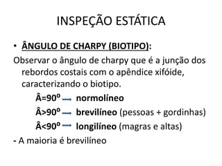 INSPEÇÃO ESTÁTICA
• ÂNGULO DE CHARPY (BIOTIPO):
Observar o ângulo de charpy que é a junção dos
rebordos costais com o apêndice xifóide,
caracterizando o biotipo.
Â=90⁰ normolíneo
Â>90⁰ brevilíneo (pessoas + gordinhas)
Â<90⁰ longilíneo (magras e altas)
- A maioria é brevilíneo
 