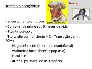 Torcicolo congênito:
- Encurtamento e fibrose
- Comum nos primeiros 6 meses de vida
- Tto: Fisioterapia
- Tto tardio ou ineficiente = Cir. Transeção do m.
ECM:
- Plagiocefalia (deformidade craniofacial)
- Assimetria facial (hemi-hipoplasia)
- Escoliose
- Atrofia ipsilateral do m. trapézio
 